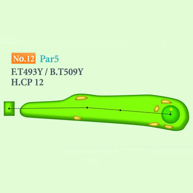 [싸이칸] 타케오우레시노 컨트리클럽 IN HOLE : 12