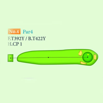 [싸이칸] 타케오우레시노 컨트리클럽 OUT HOLE : 4